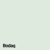 BODAQ Interior Film - Interieurfolie S214 Mint